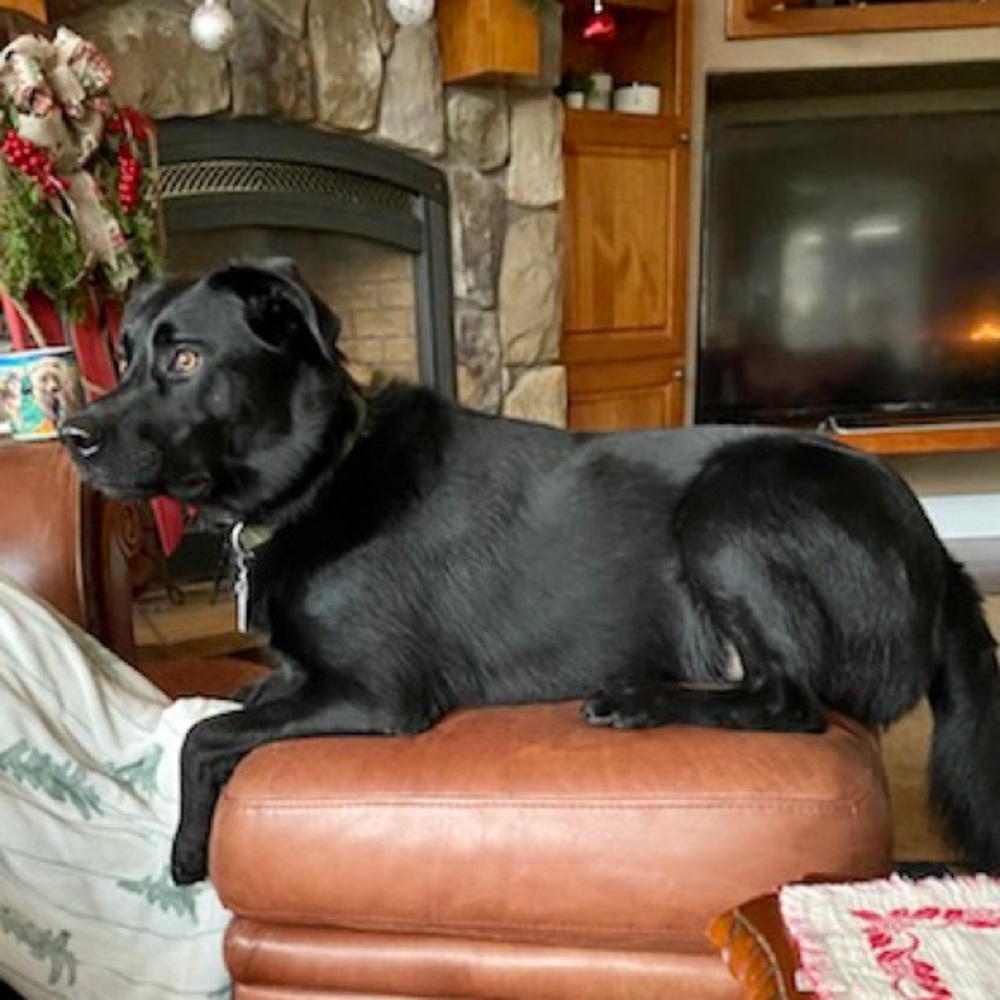 Meet your Posher, Lawnie